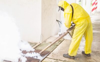 man-is-using-thermal-fog-machine-protect-mosquito-spreading