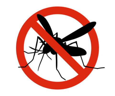 Mosquito warning prohibited sign. Anti mosquitoes, insect control vector symbol. Stop and control mosquito, anti insect illustration
