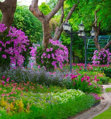 nicora-garden-giardini-da-sogno-progettazione-giardini-3